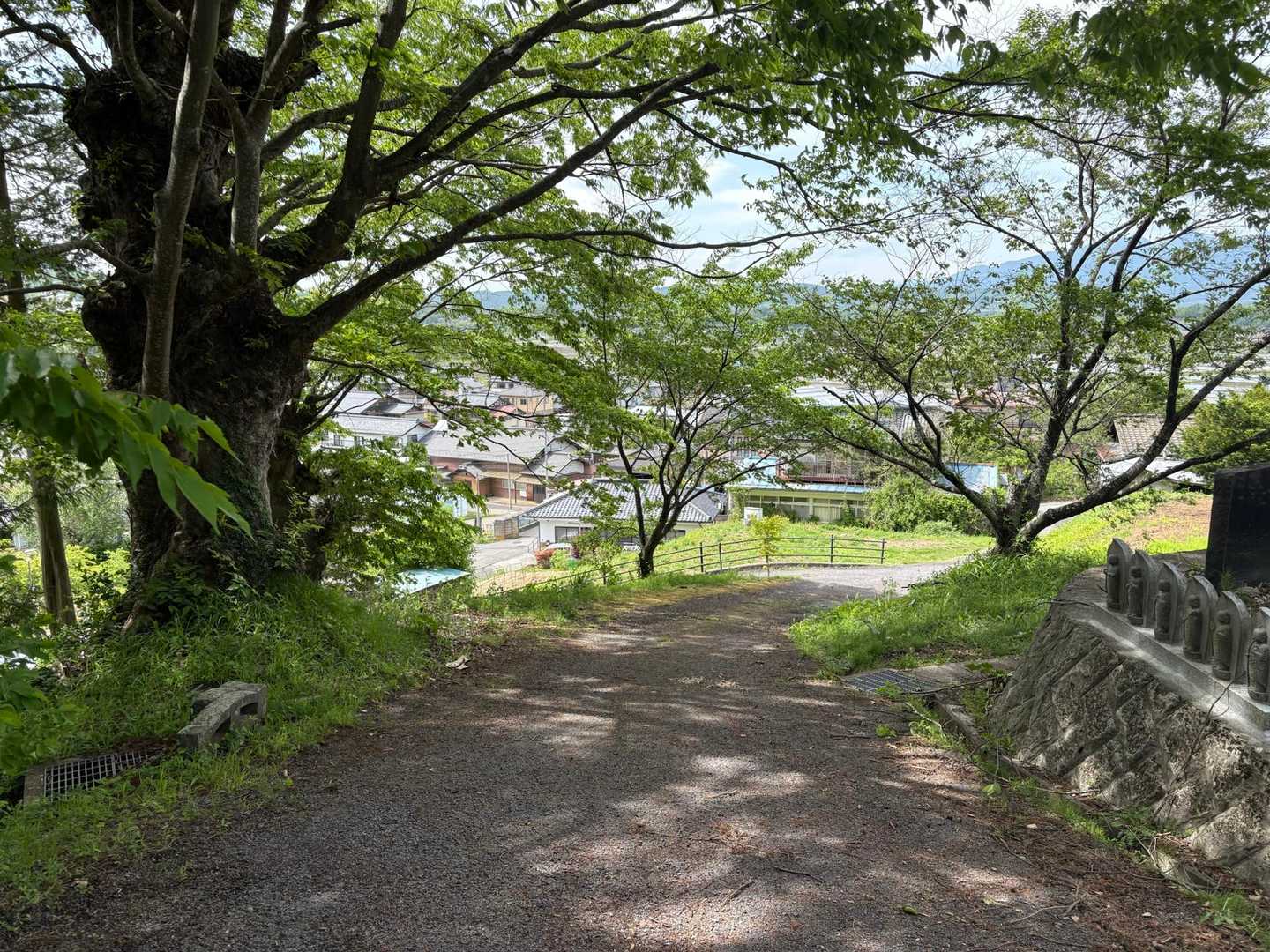 おっ…..あれはまさか……？