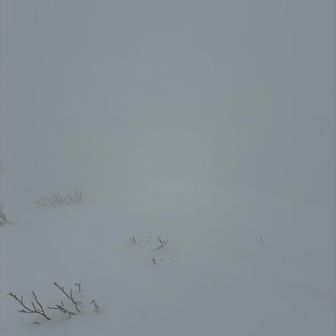 登頂🥳
真っ白😭
ホワイトアウト怖いからマイトレースあるうちに帰る💨