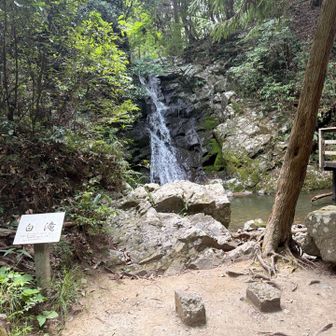 白滝、涼しいので少し休憩