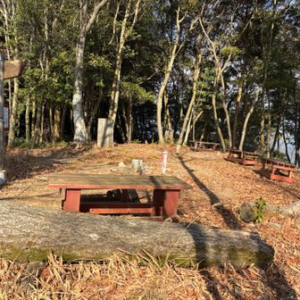 ベンチが沢山ある