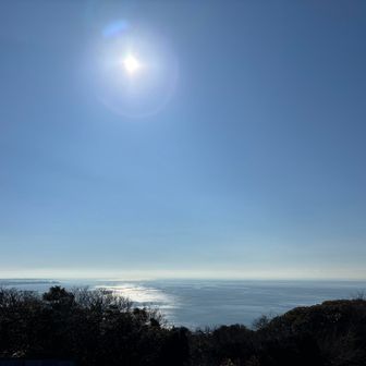 相模湾の絶景✨