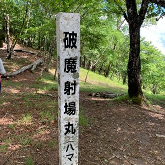 ハマイバってこんな字