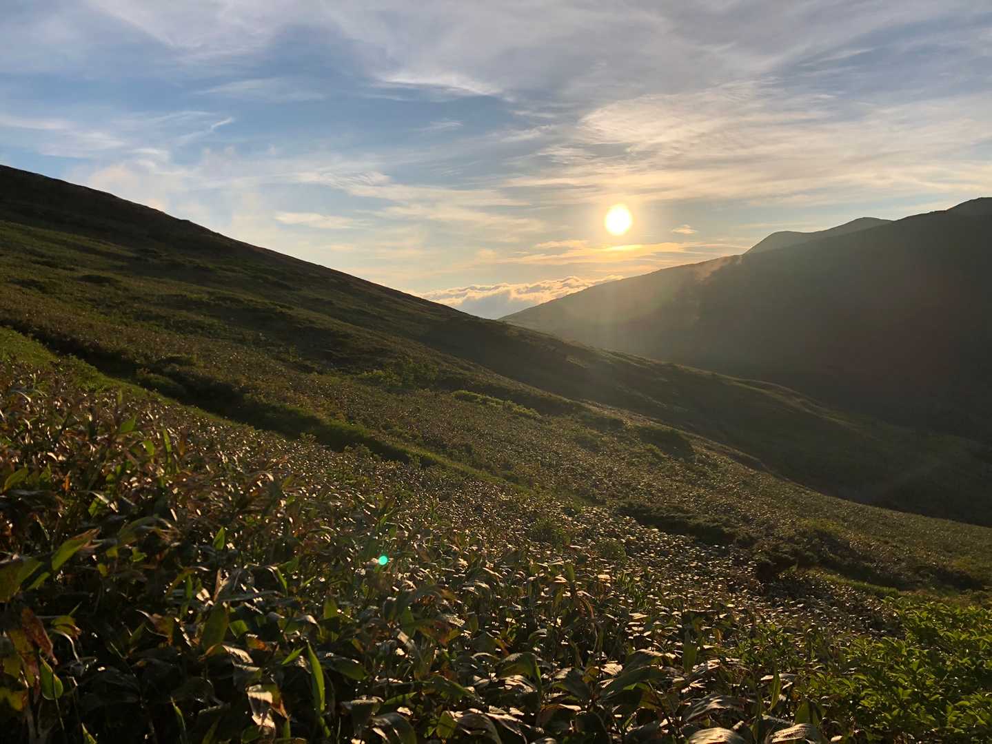 平元新道登山口-平標山 往復コースの写真