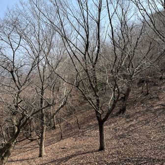 さあ、激下りすたあと〜♪安全にね