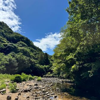 市ケ原