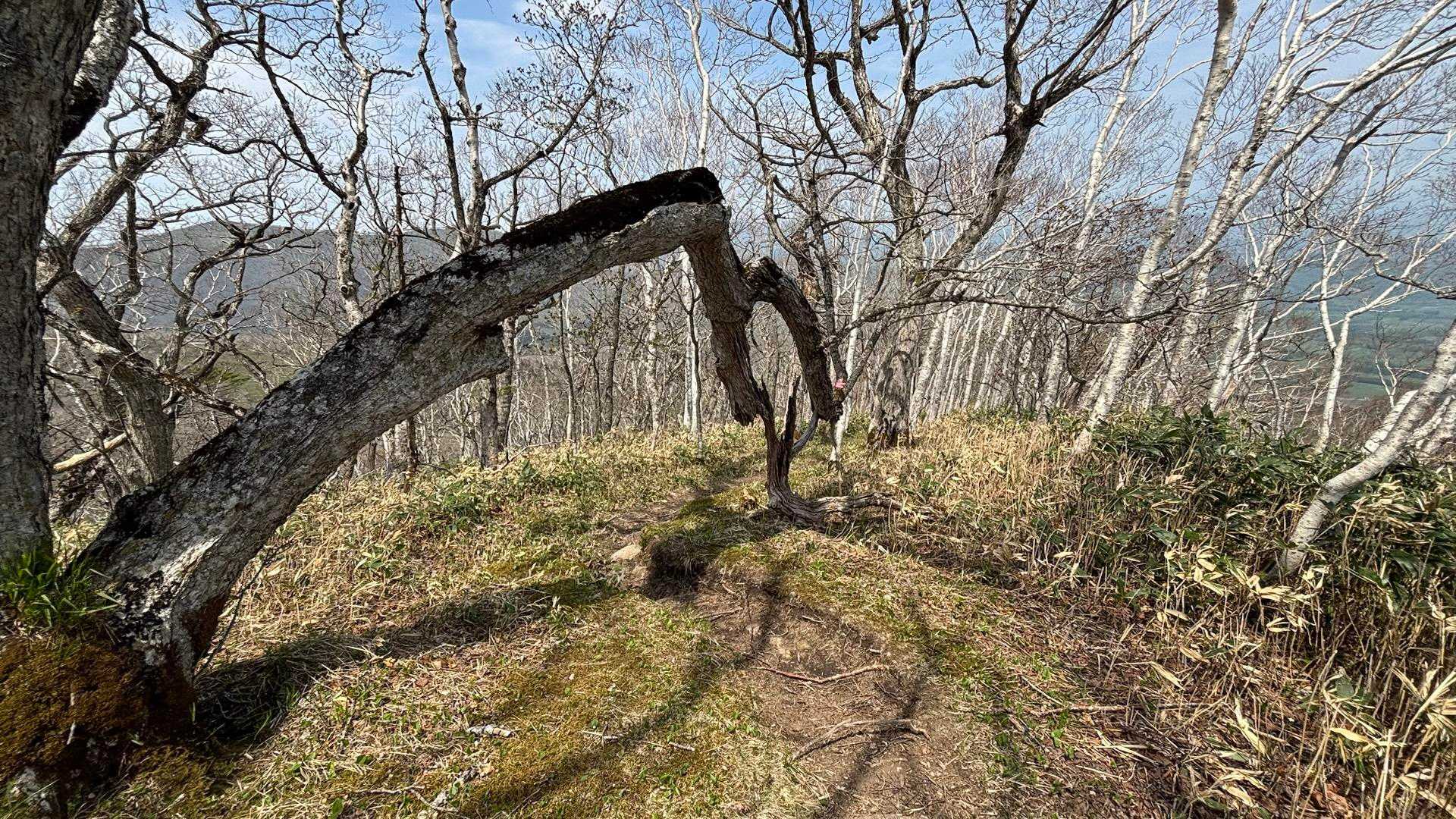 いつものトンネル通過✨