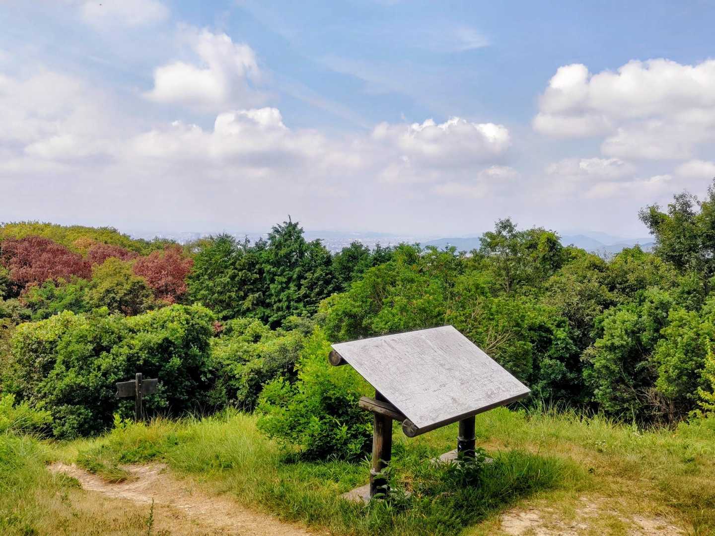 いつもの頂上からの景色🫡