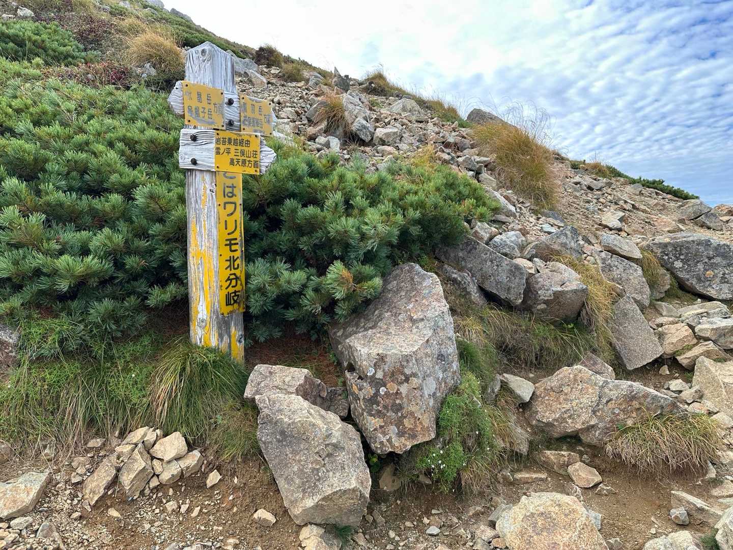 ワリモ北分岐