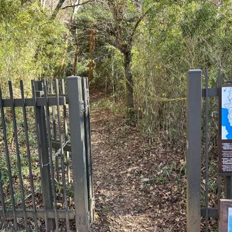 ゲートを入ります