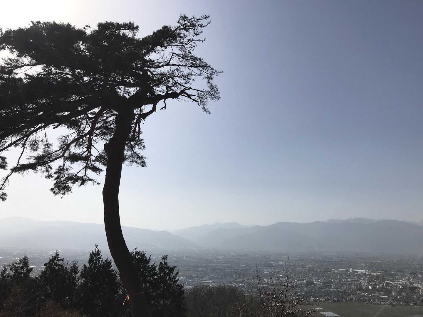 中山霊園より
