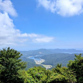 ホントの方の桃浦