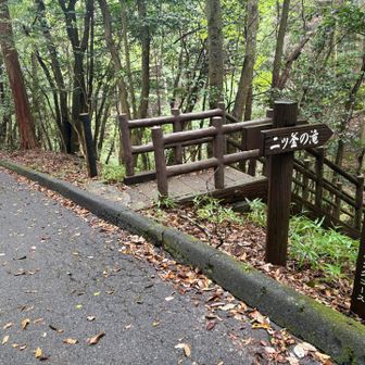 ここからは滝シリーズ✨