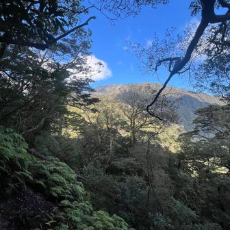 山手がキレイに見えました