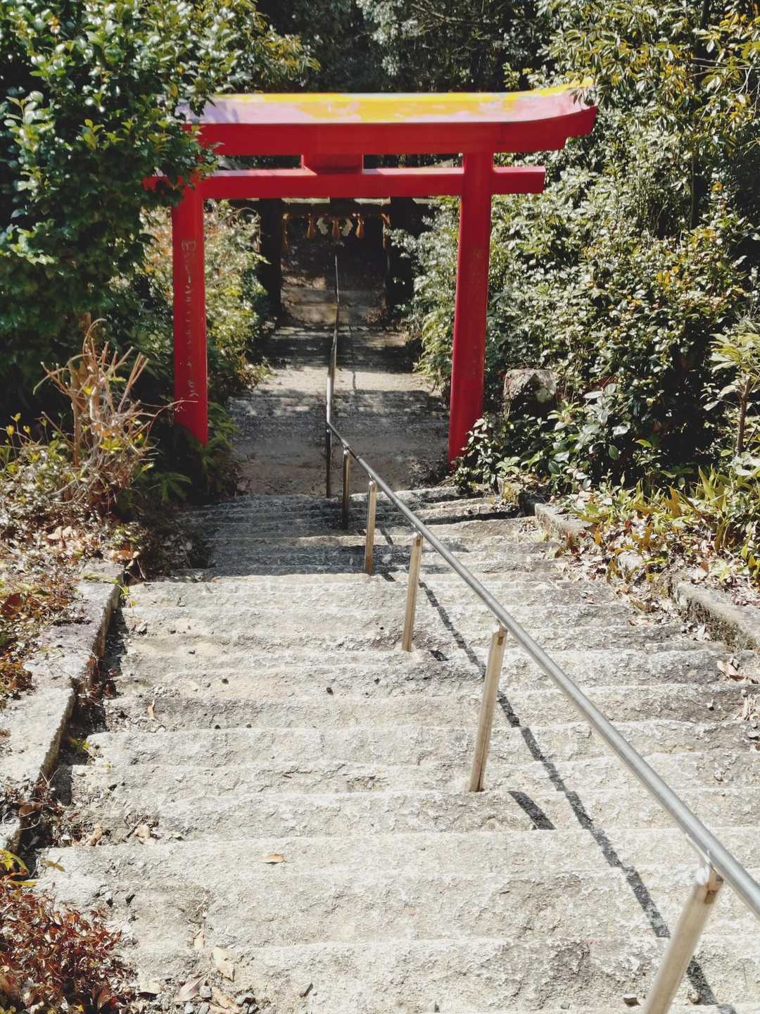 抜け駆け登山終了
文句言われる？かも🤭