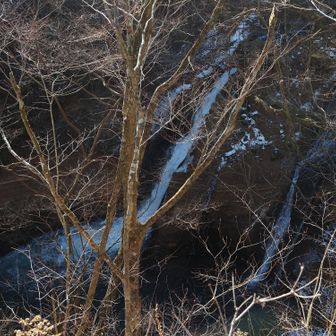 下から見上げるとさぞ迫力あることでしょう