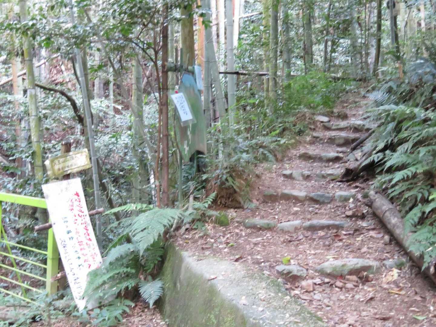 この坂を下りてきた、あと少しで、小倉神社⛩️