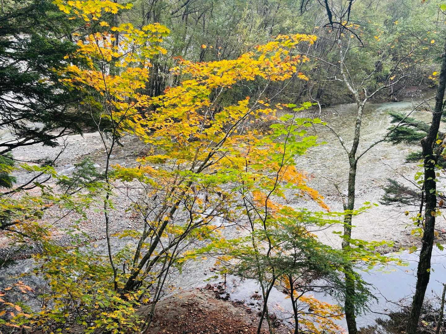 大正池バス停-大正池-大正池-田代池-上高地西穂高岳登山口 縦走コースの写真