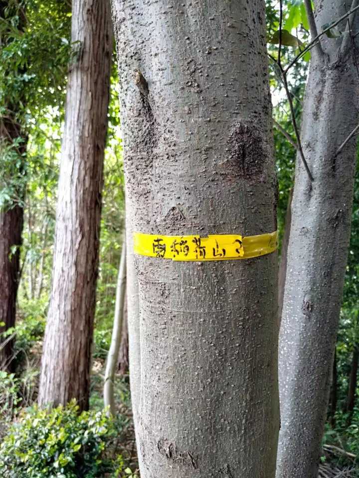 東稲荷山の写真