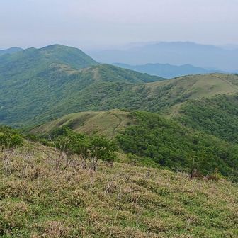 山好きけいちゃん