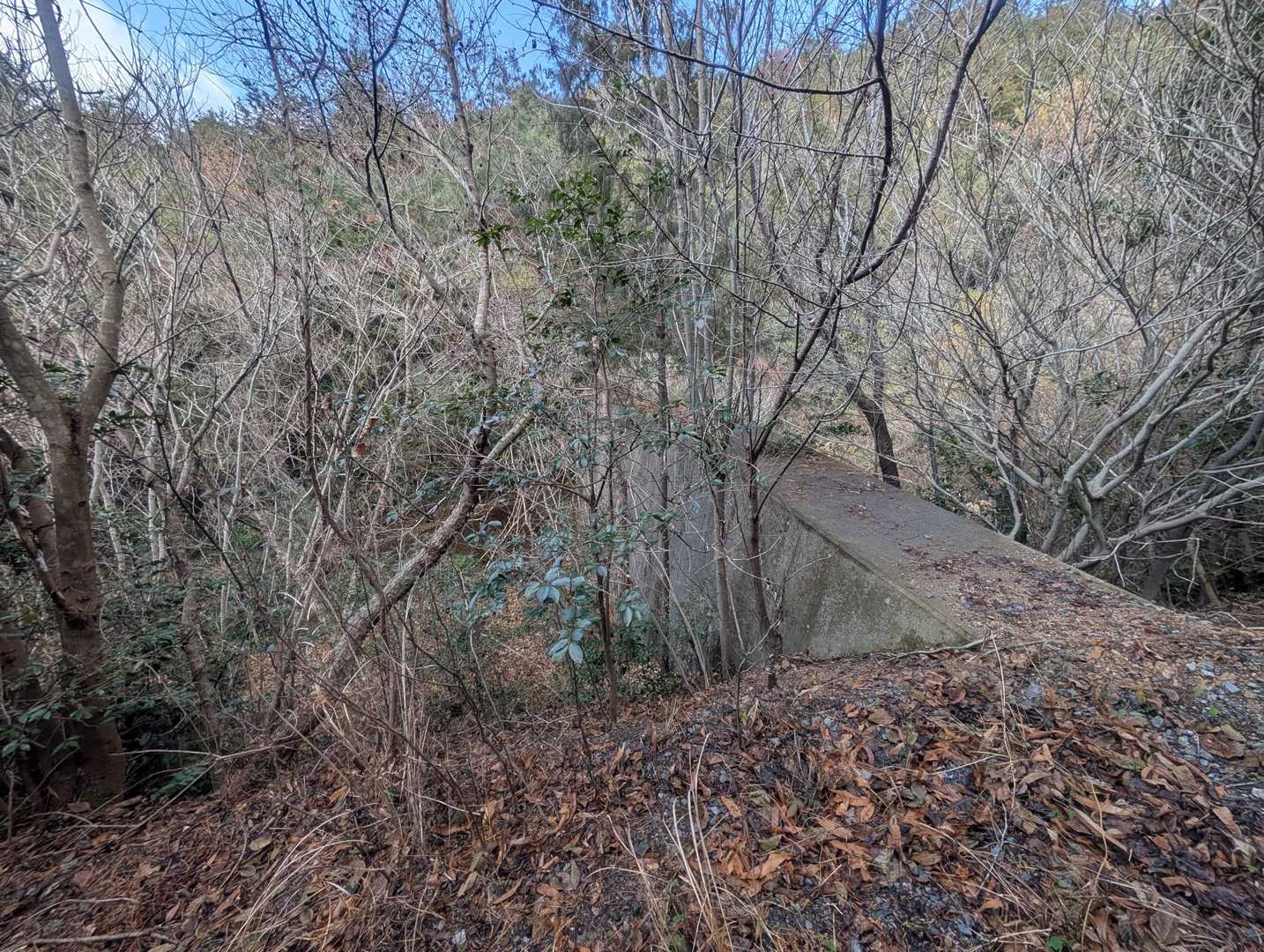 堰堤 有り。