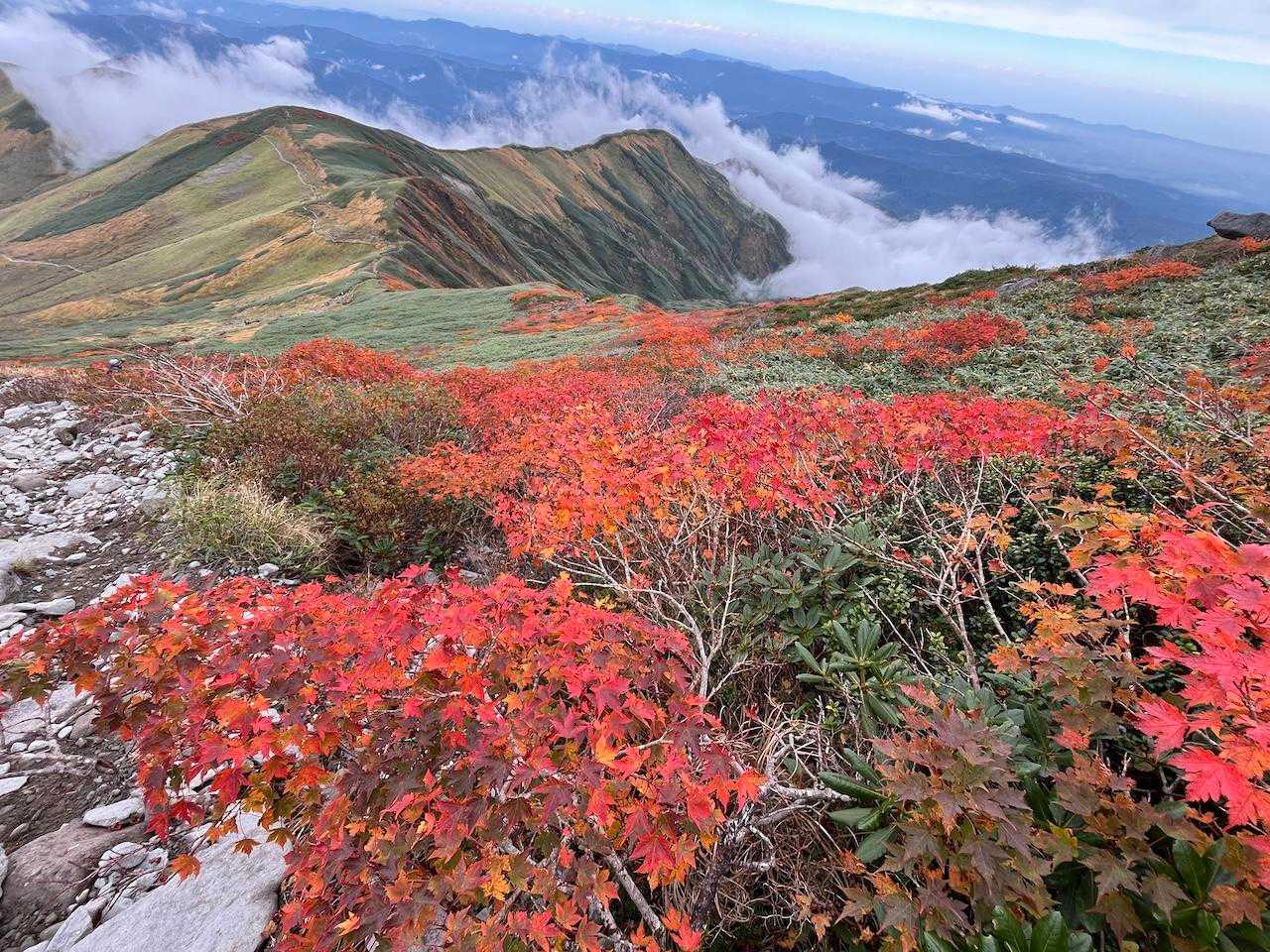何度も足を止める景色にはため息しか出ない！