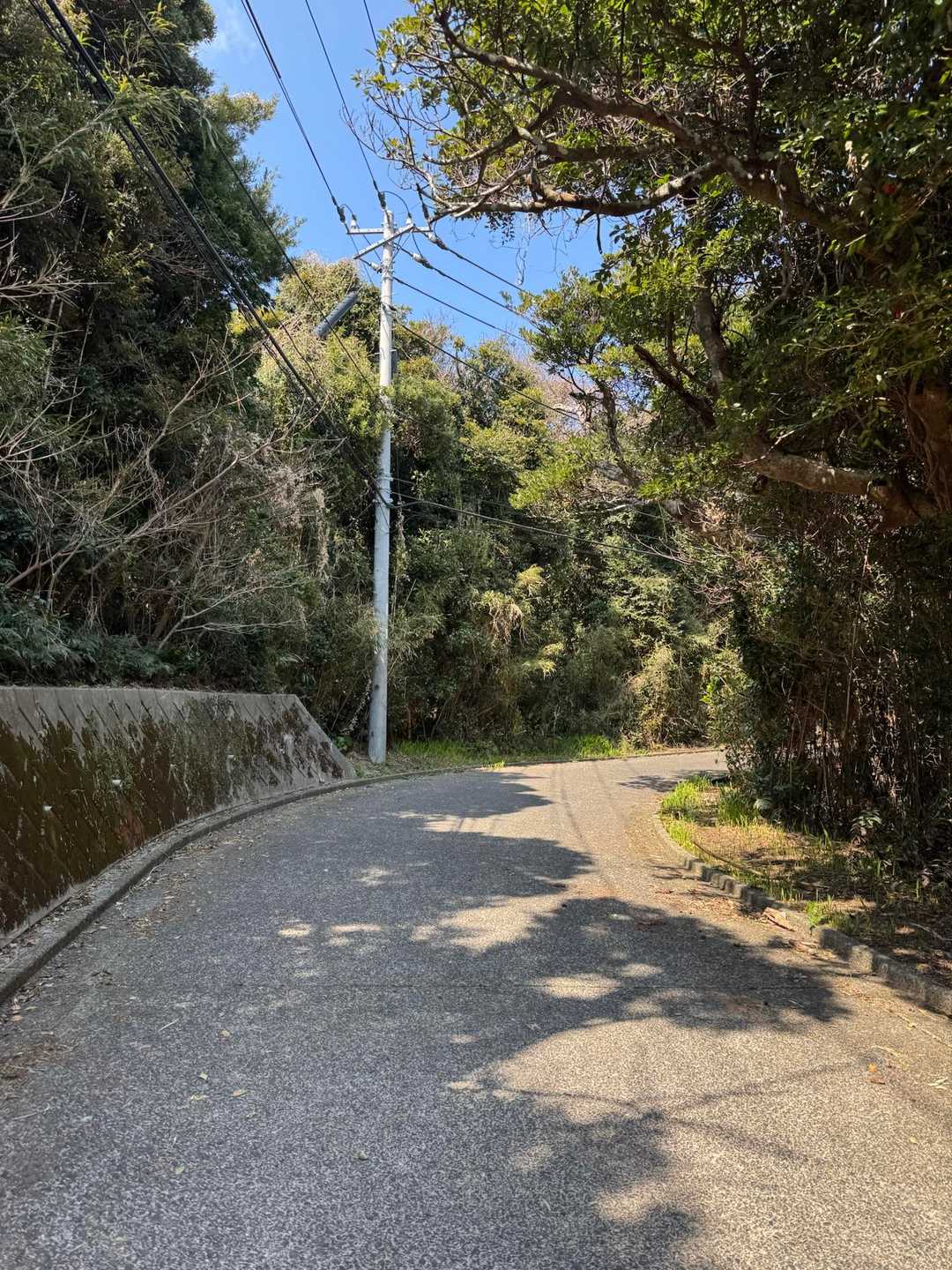 他の方のレポートで知ってはいたけど、、、

何の変哲もないロードをひたすら1時間近く登る💦