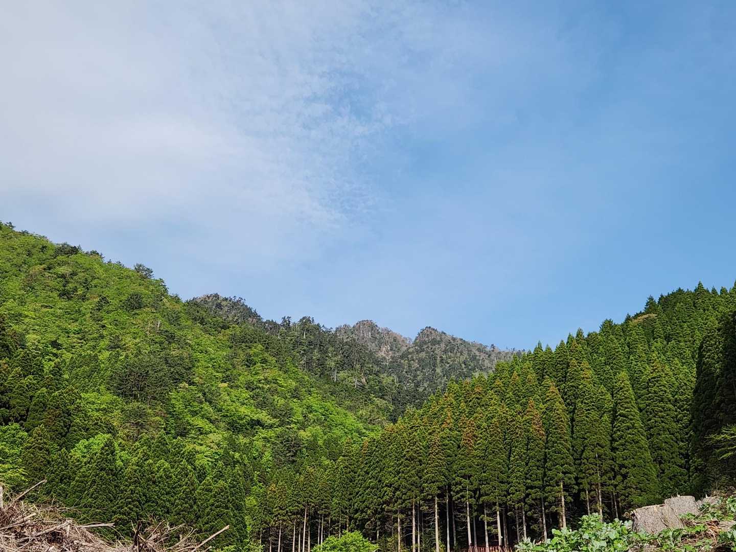 目の前に！あれが傾山⛰️
こちらからは猫耳😺は見えません。