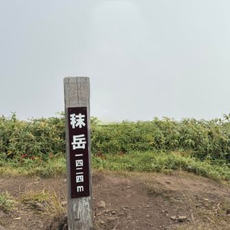 カレーの匂いは分からんかったよ😂
にしても今日はなぜ山頂標識でガスなんだ笑