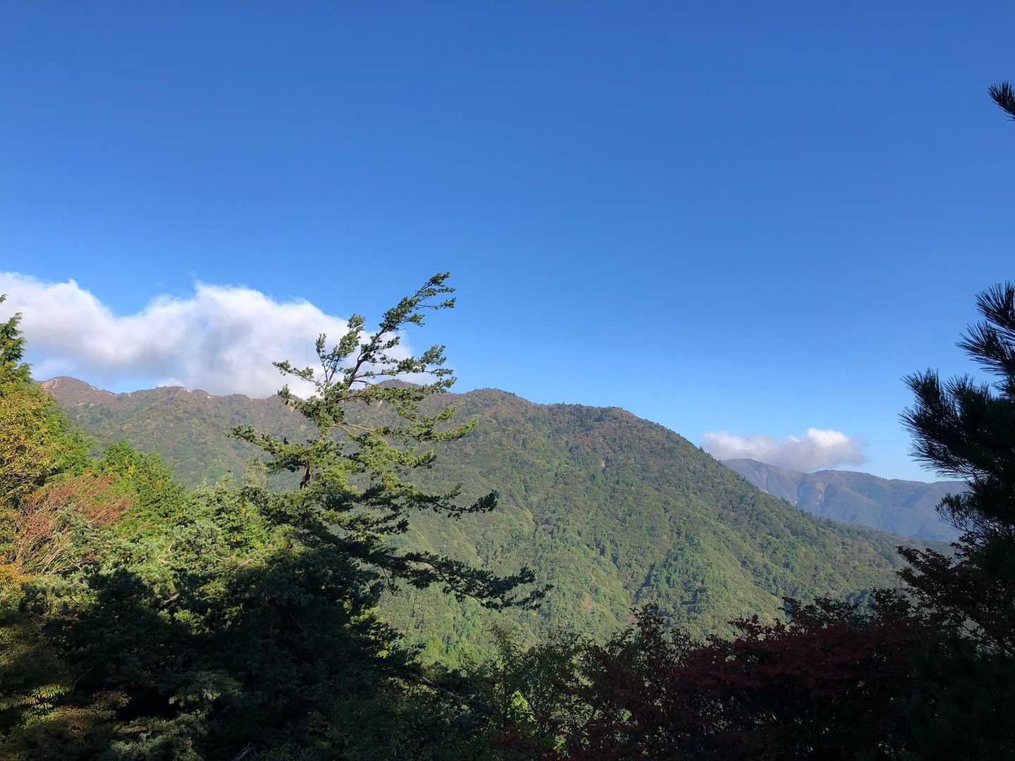 あのへんへ行くらしい😆
