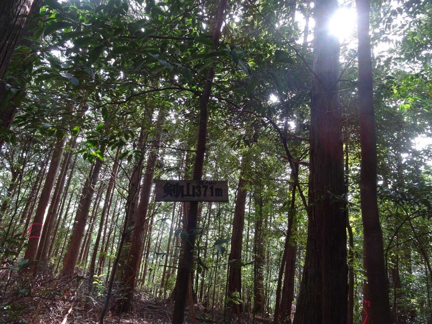 滝尻王子-不寝王子-剣ノ山-高原熊野神社 往復コースの写真