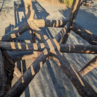 🖐️

影あそびPart3
わかるかな