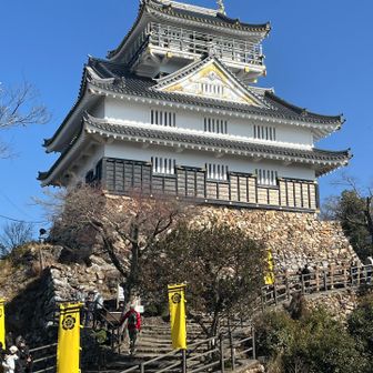 頑張ってお城だけ撮りにきました〜