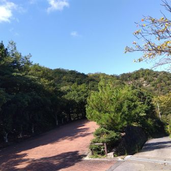 一旦白滝山駐車場🅿️に降りて