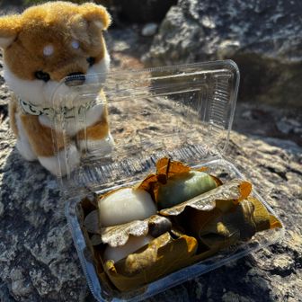 名物「柏餅」美味しかったです😋