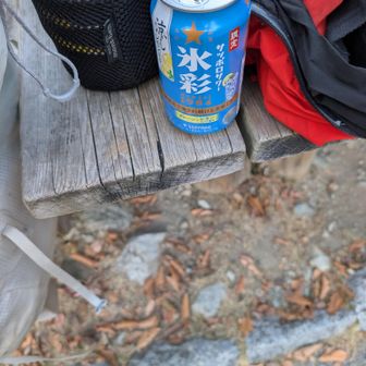 あっそうだakioさんと乾杯🍻する用の酒をココで1人乾杯
akioさん、「なにやってるんですか〜」
トムホーバス風
