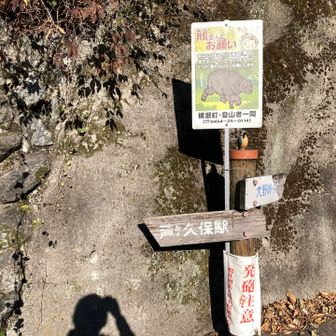 下りてきました
熊🐻さんありがとう