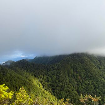 先程まで見えていた皇海山なガスの中に入ってしまった。