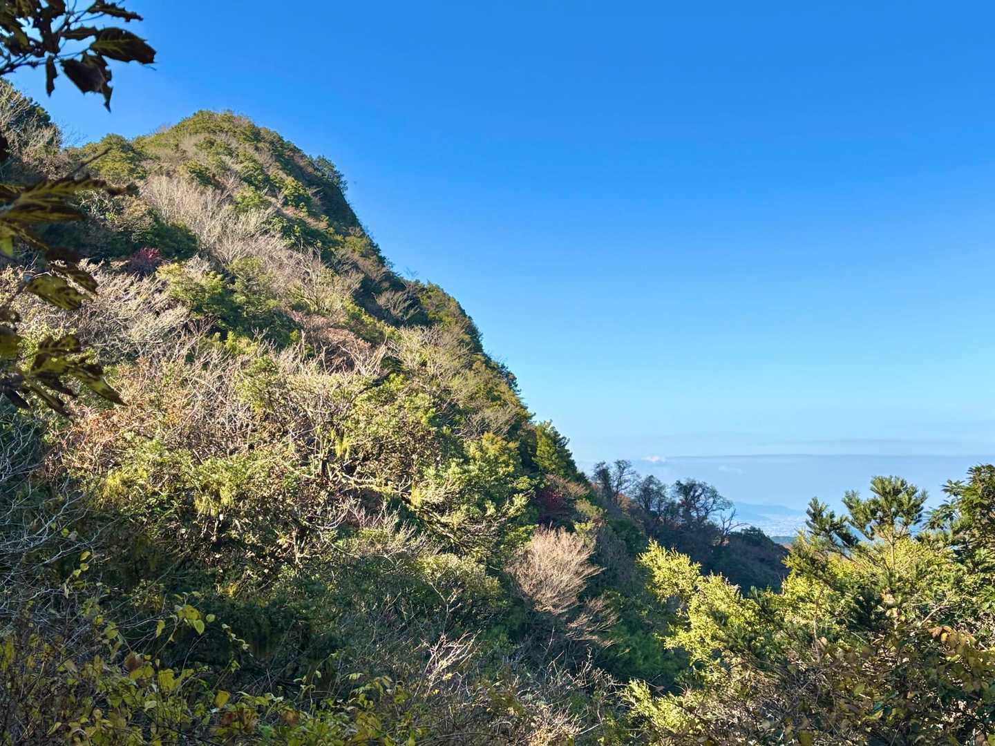 その後は...山頂付近は険しいところも多く、屏山に続く登山道も狭い道や暗い木立の連続だったので...