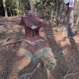 祠にお祈りです