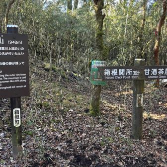 屏風山到着、
展望はありません