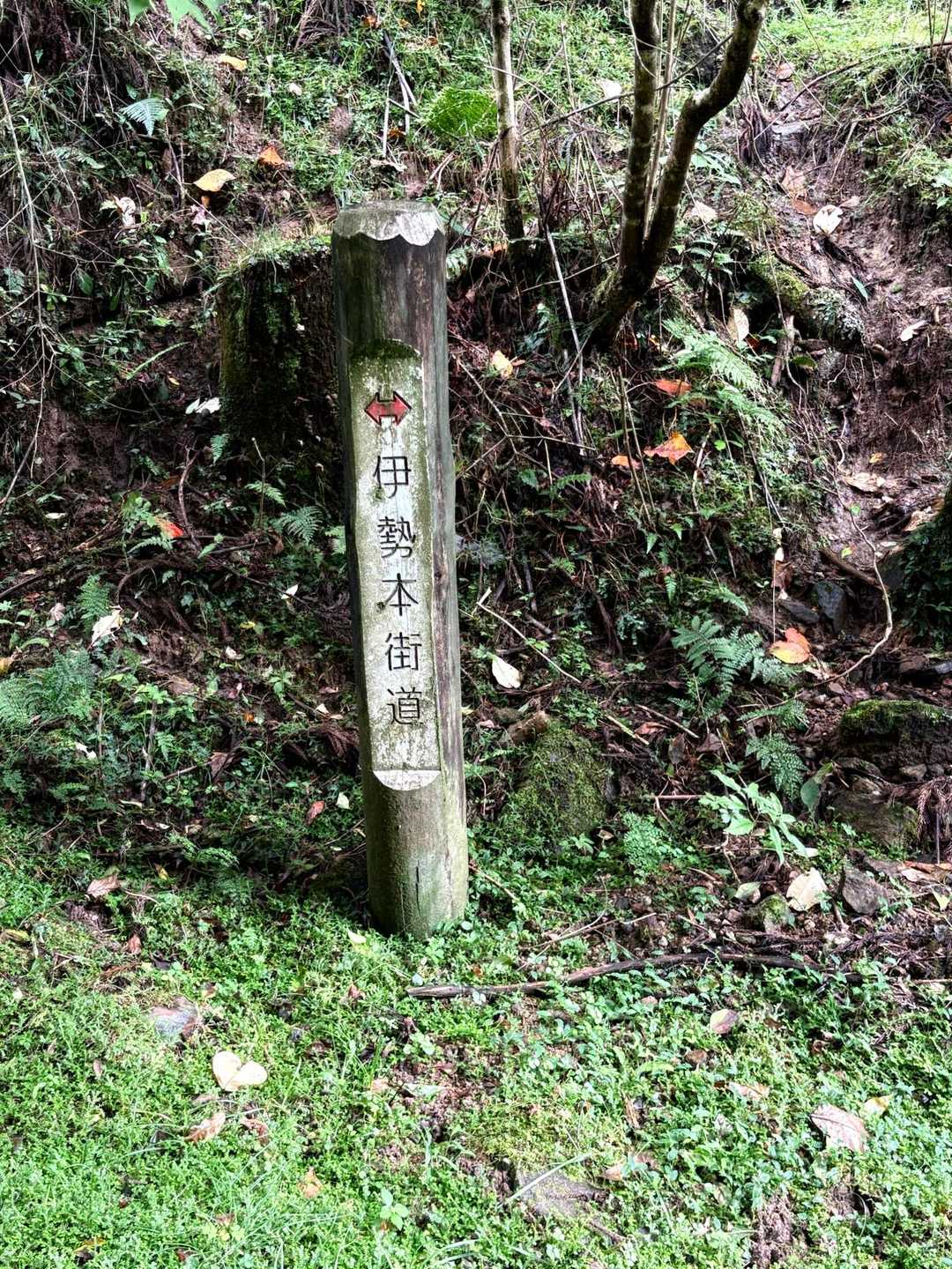 伊勢本街道だったんだ😳