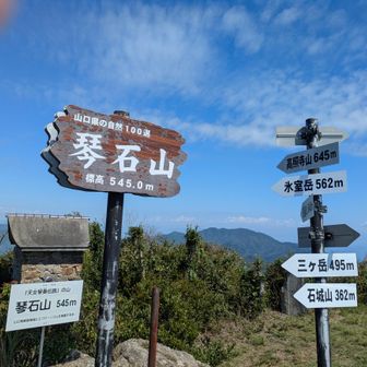登りは急登もありながら良い時間に山頂到着！
琴石山山頂には琴石と呼ばれる岩があり、天女が舞い降りてこの岩の上で琴を弾いたといわれる伝説があるそうです😌
（帰宅後に山頂写真を見て気づいて調べたので琴石が何処にあったか分かりませんが😅）
山頂はテーブルとベンチがあるので皆でゆっくり昼食をとりました😌