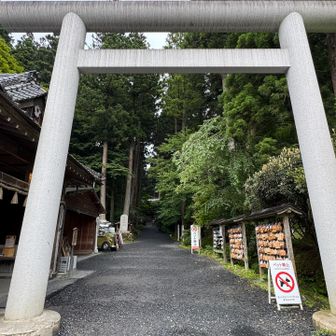 大鳥居⛩️
☔️だから人少ないなあ〜🤔