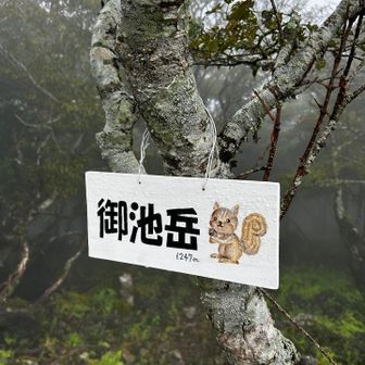 11時半は、あったのですが
ぐるっと回って戻ったらなくなってた。