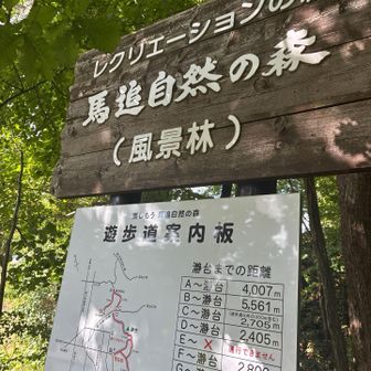 公園散策の気分でスタートしたけど、、、、、
登山だったわ🤭