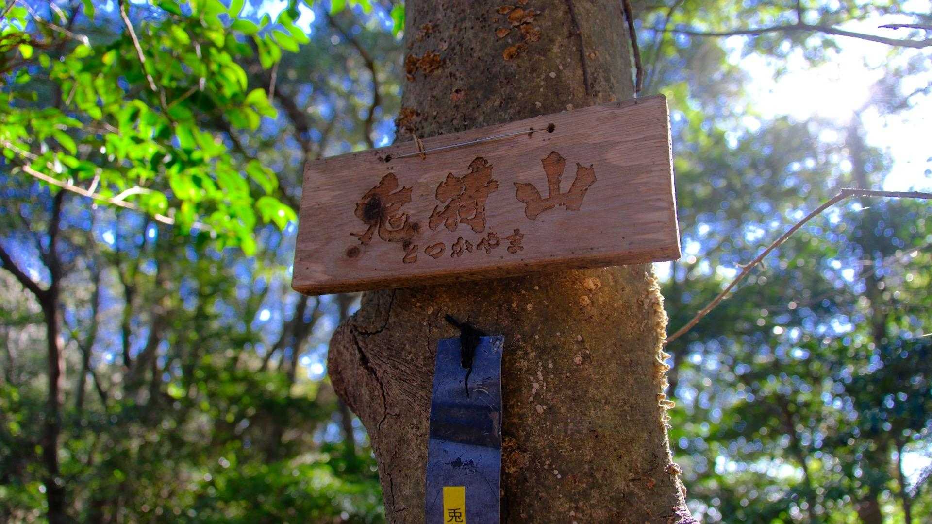 しばらく行くと、兎荷山⛰️です。
眺望はありません🐇
戻って、三岳山でコーヒータイムするぞ☕️