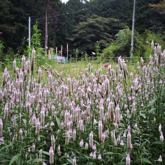 女坂公園にて