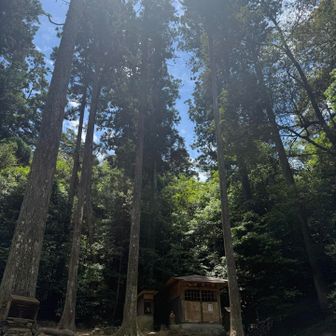 わかりずらいけど、、
この建物の左側が
ニクイの登山口。