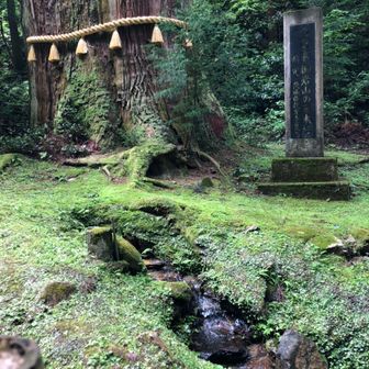 おはぎ