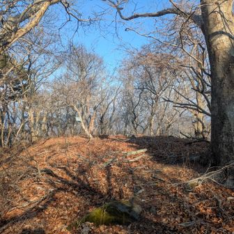 途中で立石山に寄る
山頂の様子
この辺は風が強い😭